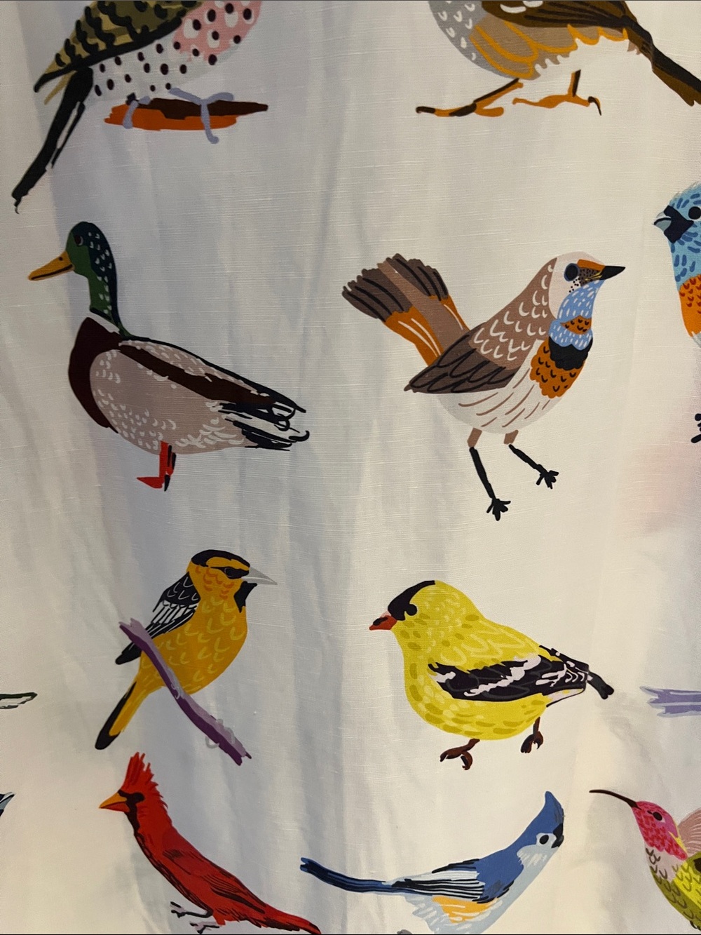 White Midi Shirt Dress with Colorful Bird Print - Picture 4 of 4